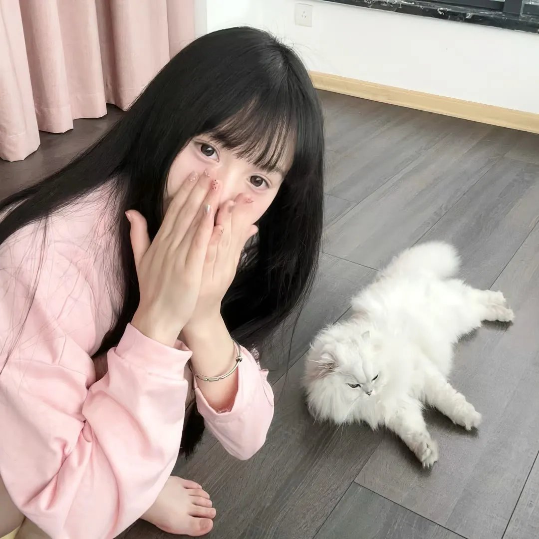 卫斯理之老猫 海报