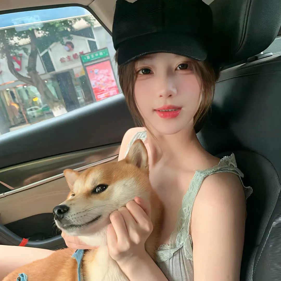 神秘森林 海报